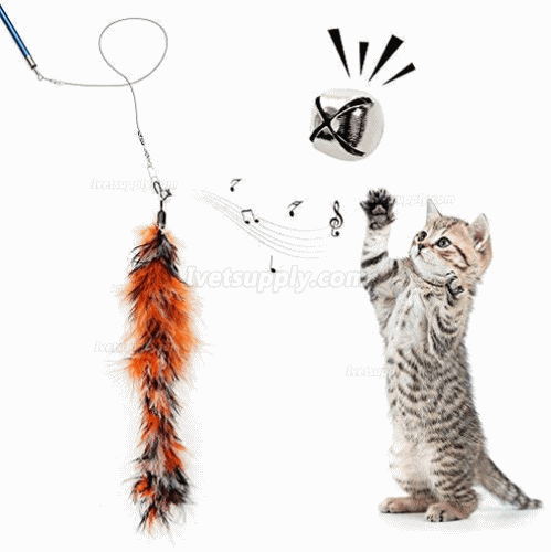 Feather Teaser Cat Toy Retractable Cat Feather Toy Wand with 5 Assorted Teaser